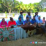 Ticuantepe Municipio de Managua desarrolla sus festividades Hípicas