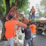 Municipalidad continúa jornada campal contra el dengue