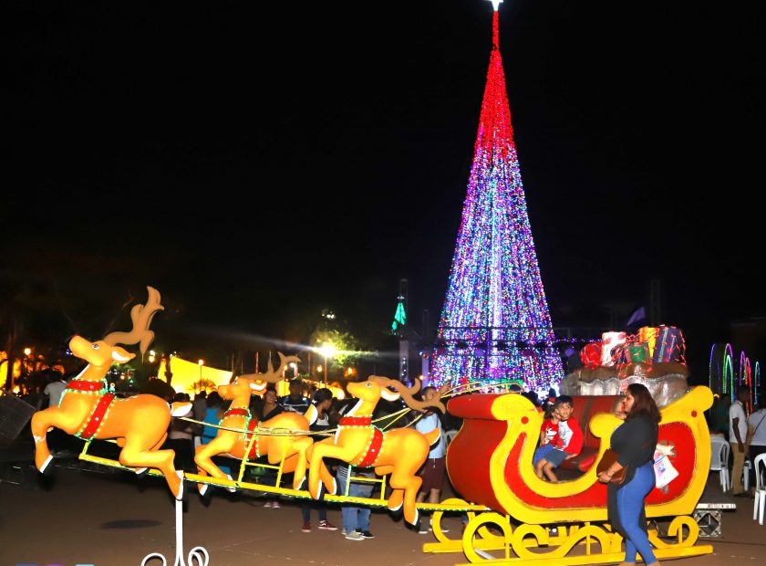 PORTADA. ARBOL DE NAVIDAD 2019