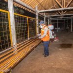 Alcaldía desinfectará 23 mil tramos en 7 mercados y más de 1 mil 500 espacios públicos de Managua