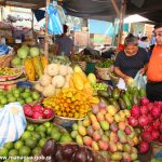 Comerciantes mantienen ofertas y descuentos en el mes de julio