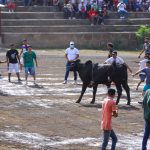 Alegre corrida de toros en honor a Santo Domingo de Guzmán