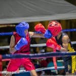 Nuevos pugilistas se destacan en Velada de Boxeo