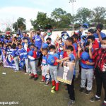 Liga de Béisbol Infantil Williamsport