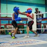 Semillero de nuevos talentos ingresan a las Academias de Boxeo
