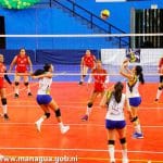 Leonas rugen fuerte en la liga de Voleibol Femenino
