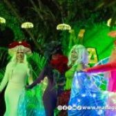 La capital se viste de luces para celebrar su tercer aniversario como Ciudad Creativa y Multicultural