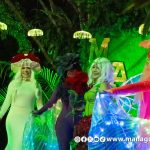 La capital se viste de luces para celebrar su tercer aniversario como Ciudad Creativa y Multicultural