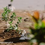 Continúa la lucha para la erradicación de los botaderos ilegales en la capital