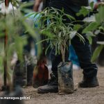 A paso firme la erradicación de botaderos ilegales con el apoyo de la comunidad y estudiantes universitarios