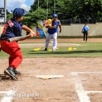 Academias de Béisbol Infantil realizan jornada para evaluar el talento